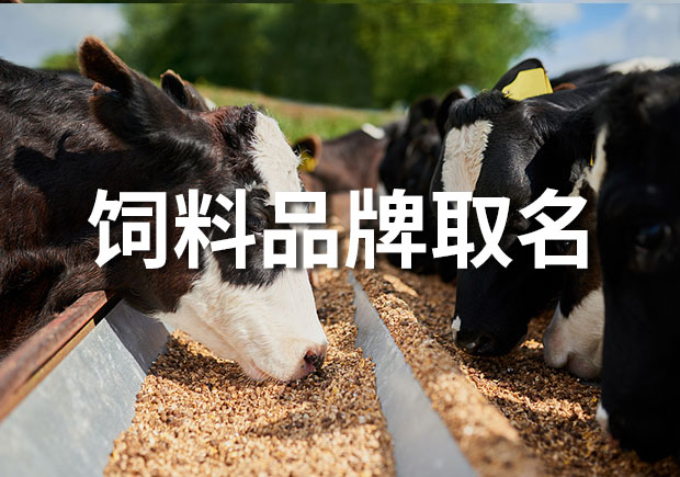 飼料品牌取什么名字好？