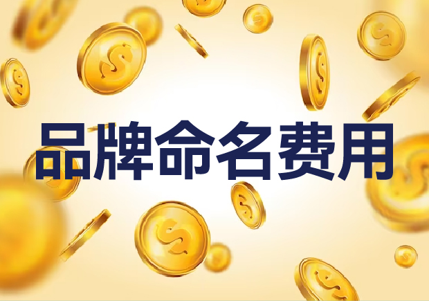 國(guó)內(nèi)外品牌命名費(fèi)用是多少？