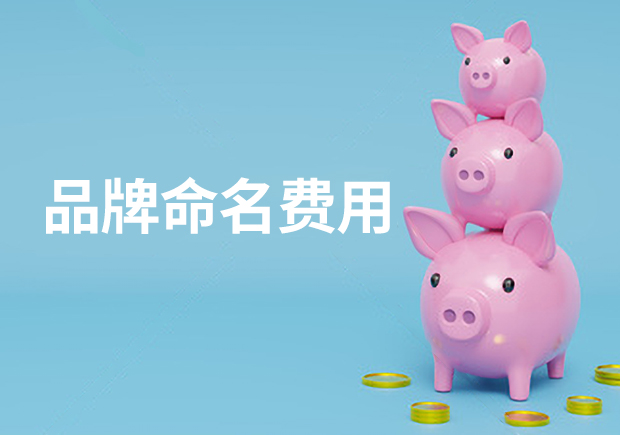 品牌命名費(fèi)用-品牌起名多少錢合適？