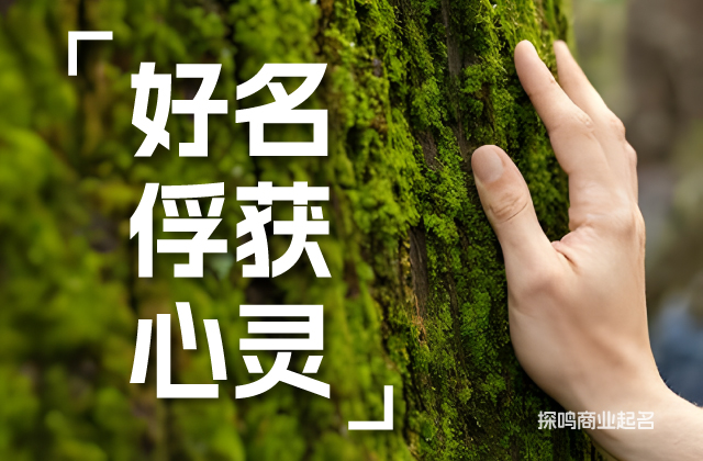 好的茶葉品牌名稱(chēng)要能復(fù)活心靈.jpeg
